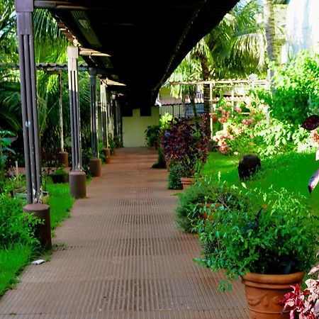 Velinn Hotel Natureza Foz Φοζ ντο Ιγκουασού Εξωτερικό φωτογραφία