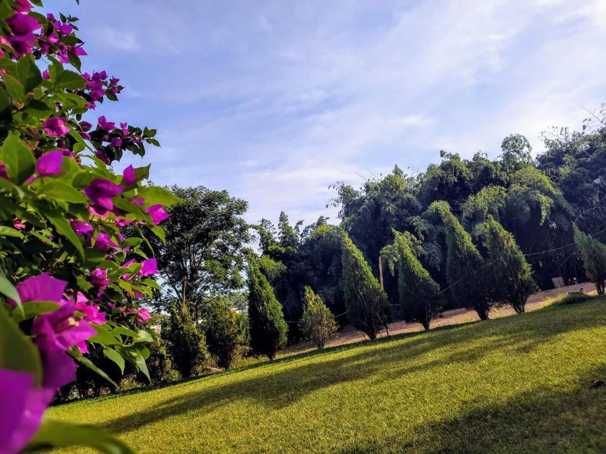 Velinn Hotel Natureza Foz Φοζ ντο Ιγκουασού Εξωτερικό φωτογραφία