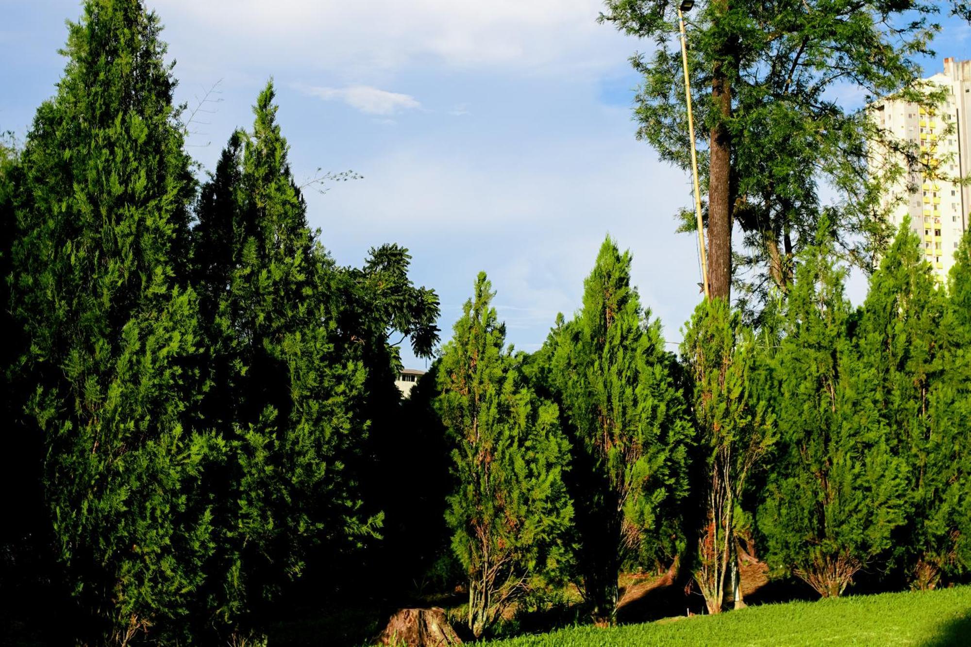 Velinn Hotel Natureza Foz Φοζ ντο Ιγκουασού Εξωτερικό φωτογραφία