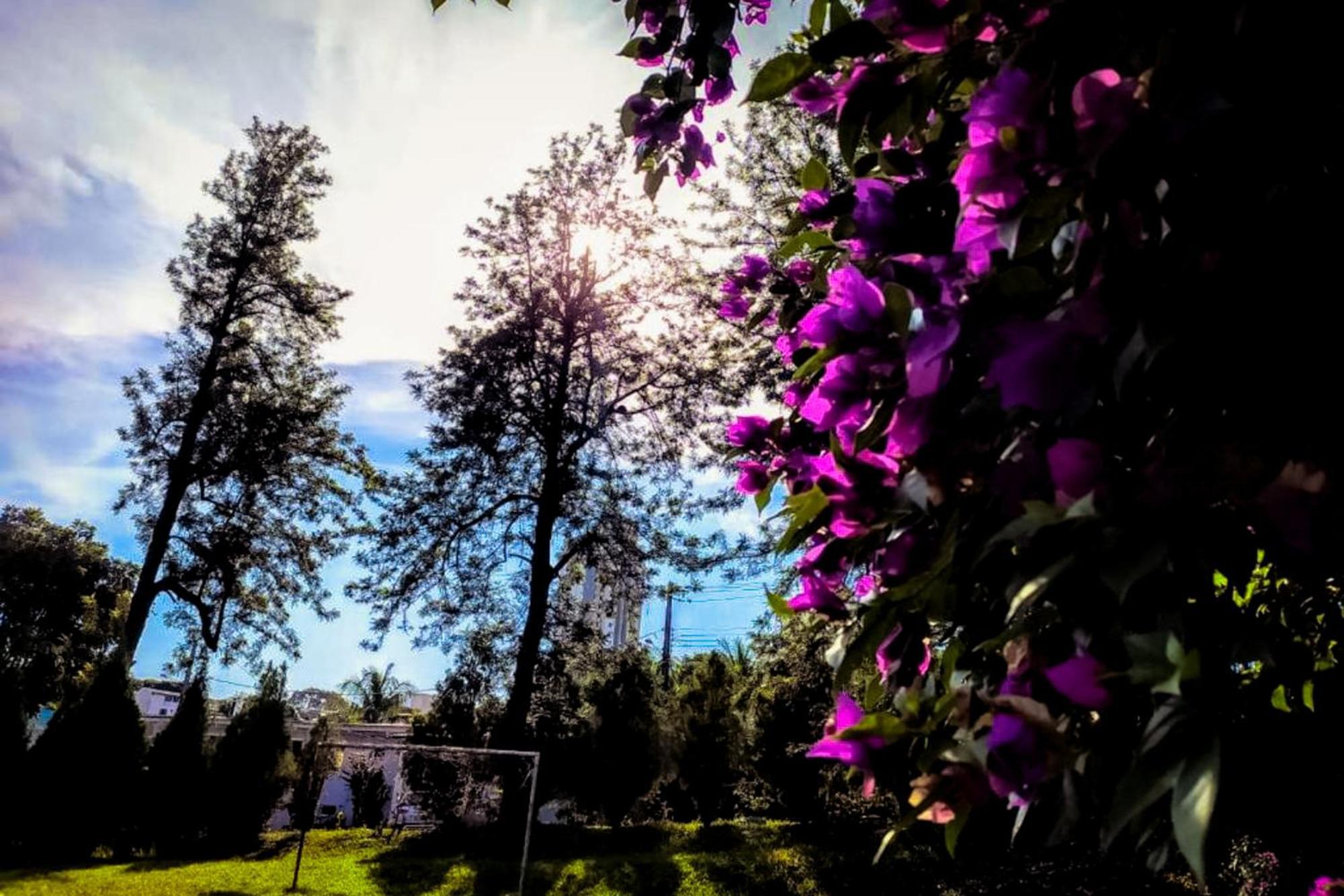 Velinn Hotel Natureza Foz Φοζ ντο Ιγκουασού Εξωτερικό φωτογραφία