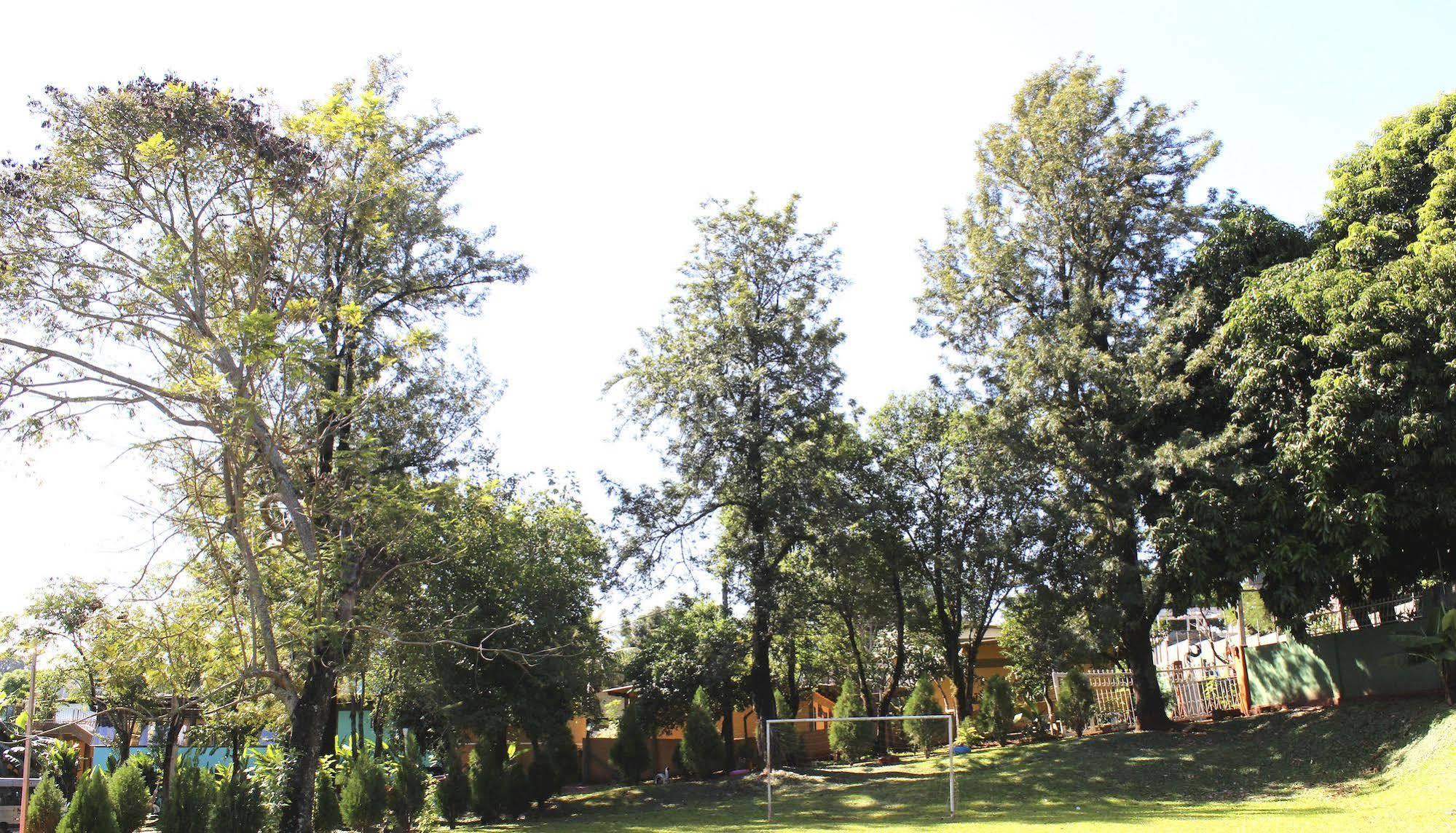 Velinn Hotel Natureza Foz Φοζ ντο Ιγκουασού Εξωτερικό φωτογραφία